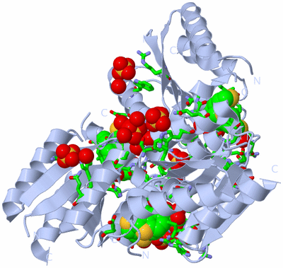 Image Biol. Unit 1 - sites