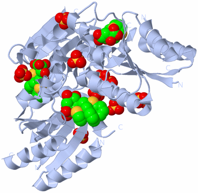 Image Biological Unit 1