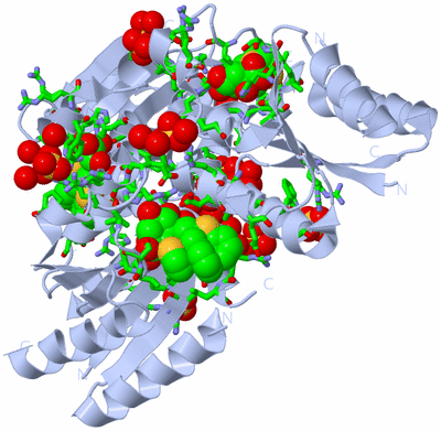 Image Biol. Unit 1 - sites