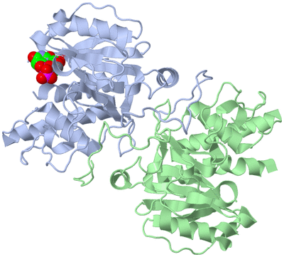 Image Biological Unit 1