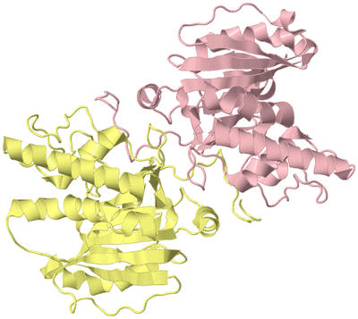 Image Biological Unit 3