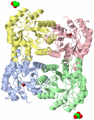 Image Asym./Biol. Unit