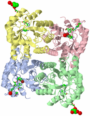 Image Asym./Biol. Unit - sites