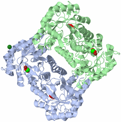 Image Biological Unit 1