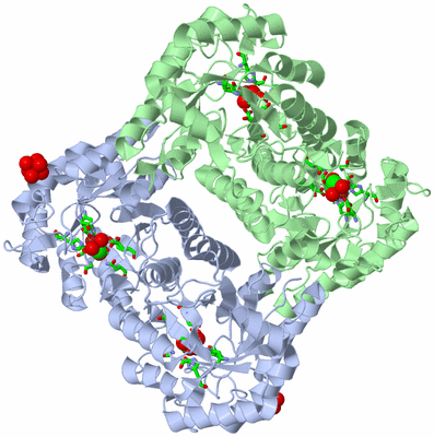 Image Biol. Unit 1 - sites