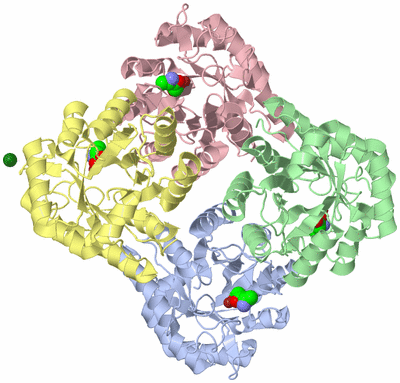 Image Asym./Biol. Unit