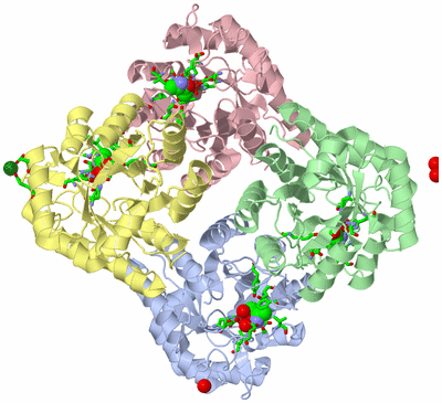 Image Asym./Biol. Unit - sites