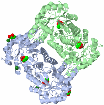 Image Biological Unit 1