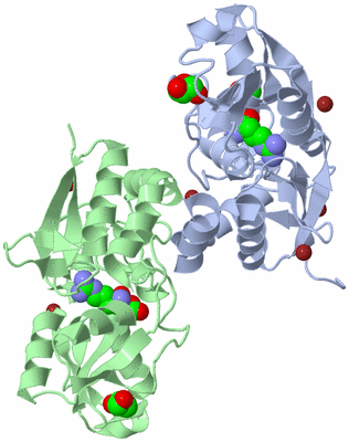 Image Asym./Biol. Unit