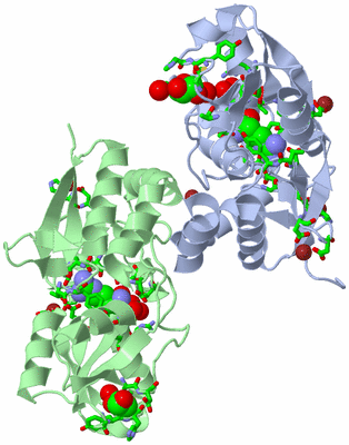 Image Asym./Biol. Unit - sites