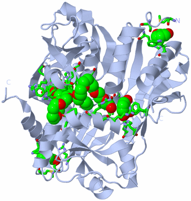 Image Biol. Unit 1 - sites