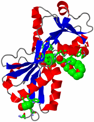 Image Asym. Unit - sites