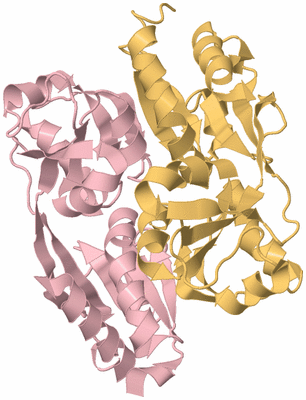 Image Biological Unit 3