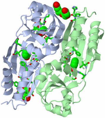 Image Biol. Unit 1 - sites