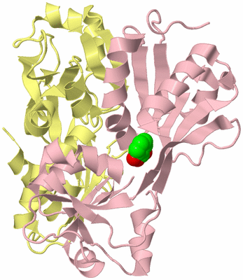 Image Biological Unit 2