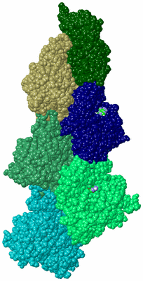 Image Asym./Biol. Unit