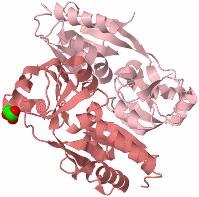 Image Biological Unit 3