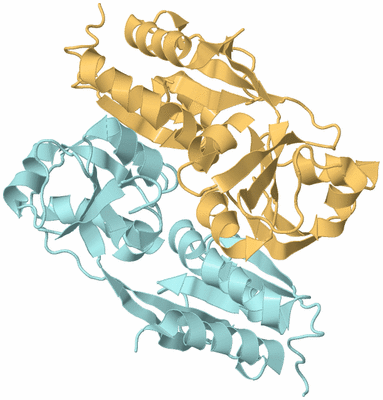 Image Biological Unit 4