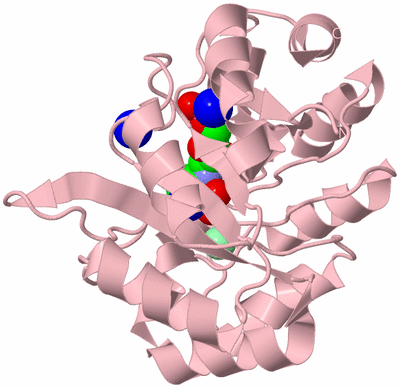 Image Biological Unit 3