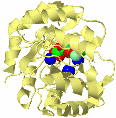 Image Biological Unit 4