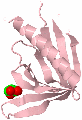 Image Biological Unit 3