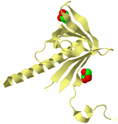 Image Biological Unit 4