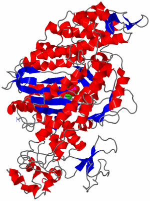 Image Asym./Biol. Unit