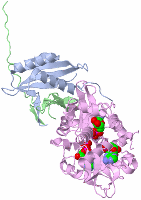 Image Asym./Biol. Unit