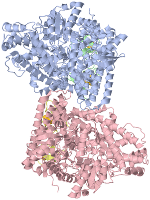 Image Biological Unit 1