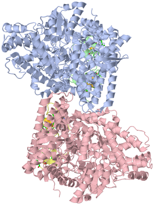 Image Biol. Unit 1 - sites