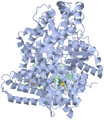 Image Biological Unit 2