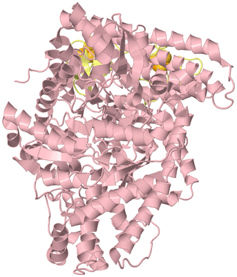 Image Biological Unit 3