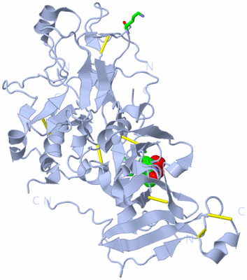 Image Biol. Unit 1 - sites