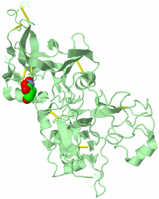 Image Biological Unit 2