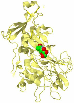 Image Biological Unit 3