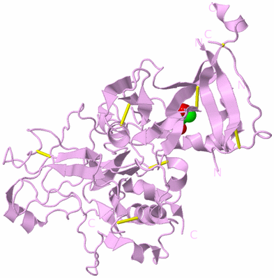 Image Biological Unit 4