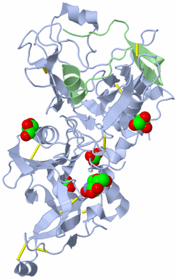 Image Biological Unit 1