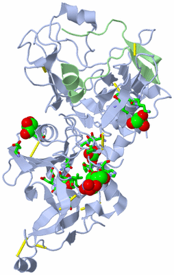 Image Biol. Unit 1 - sites