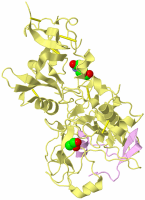 Image Biological Unit 2