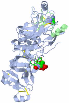 Image Biol. Unit 1 - sites