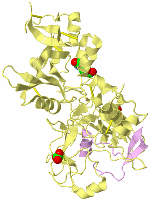 Image Biological Unit 2