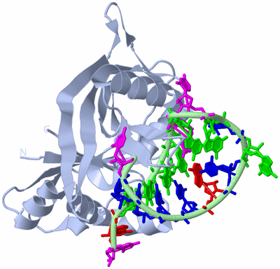 Image Biological Unit 1