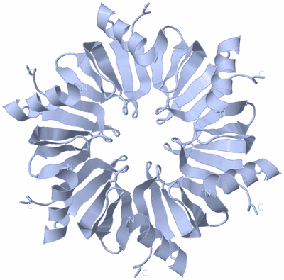 Image Biological Unit 1