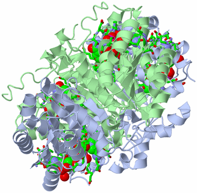 Image Biol. Unit 1 - sites