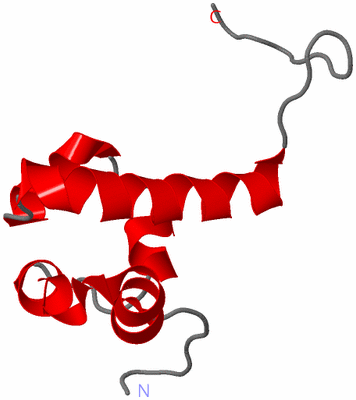 Image NMR Structure - model 1