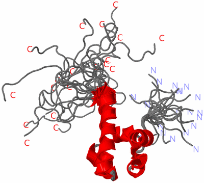 Image NMR Structure - all models