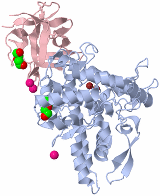 Image Biological Unit 1