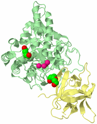 Image Biological Unit 2