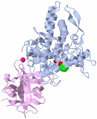 Image Biological Unit 1