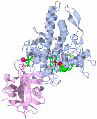 Image Biol. Unit 1 - sites